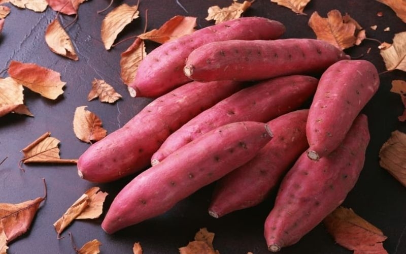 cách chọn khoai lang ngon (ảnh 1)