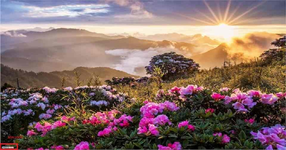Nhiều thao tác quan trọng cần chú ý