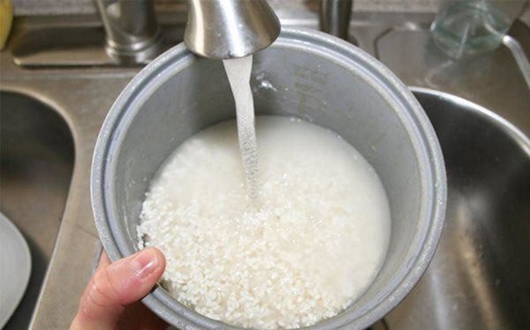 cháo gà nấm hương 4