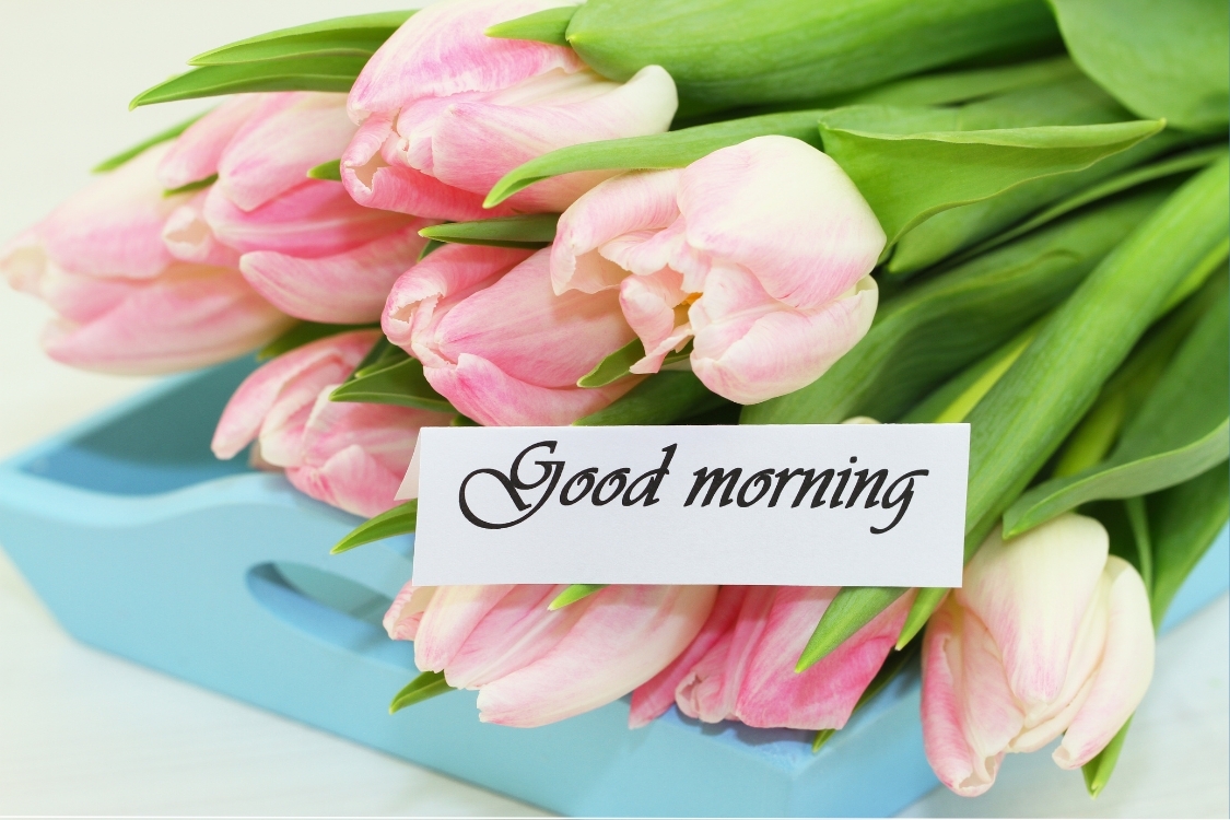 Hình ảnh chúc ngày mới cho người yêu lãng mạn