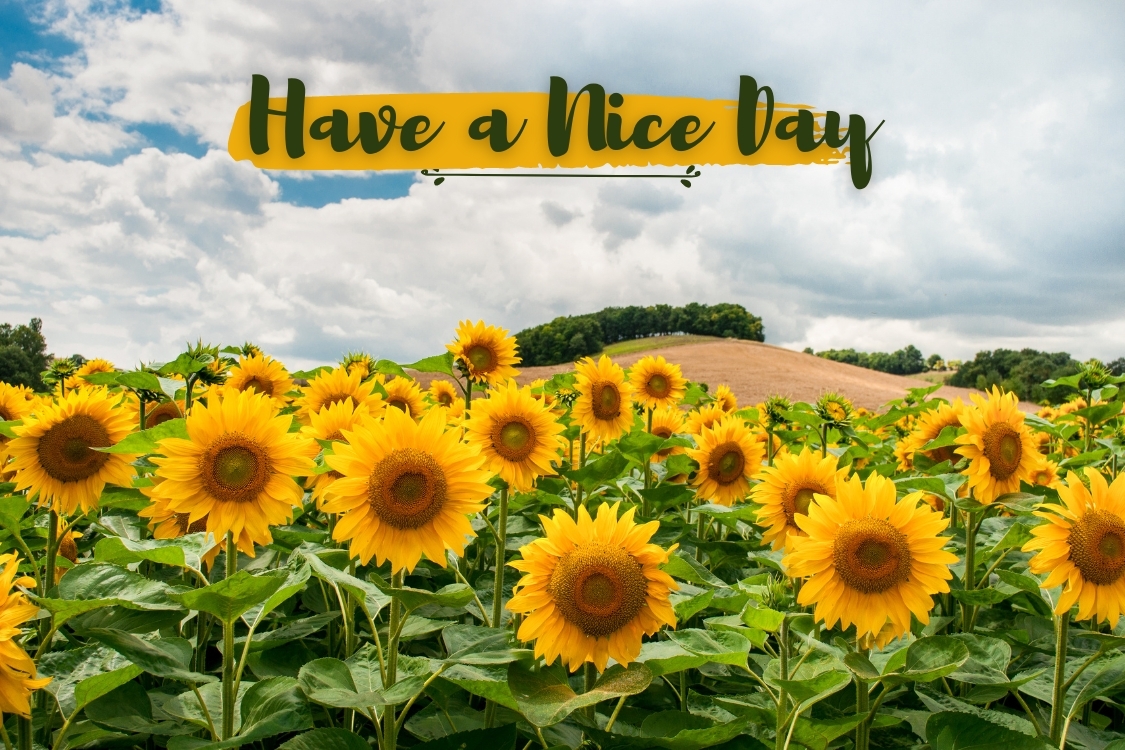 Hình ảnh chúc ngày mới cho người yêu lãng mạn 2