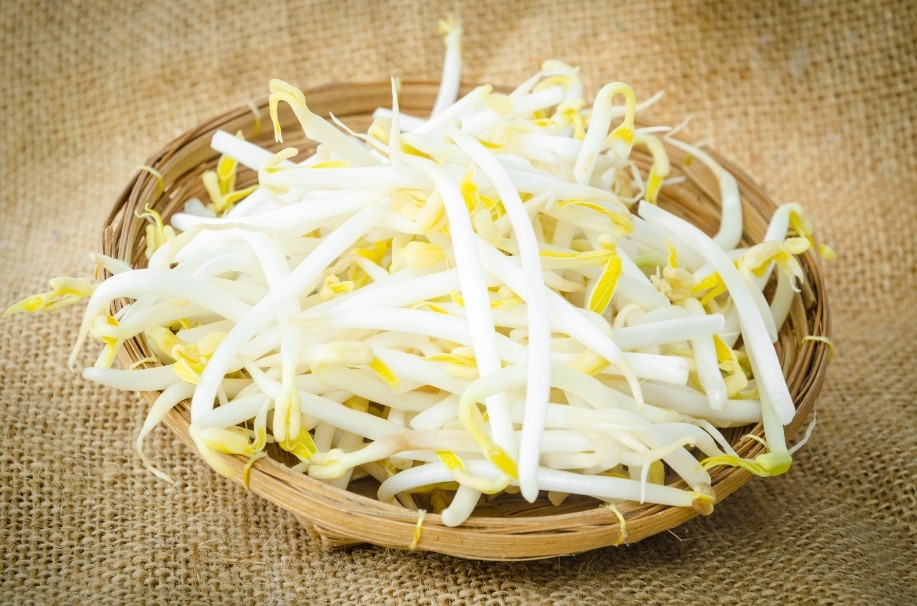 bảo quản giá đỗ trong tủ lạnh 1