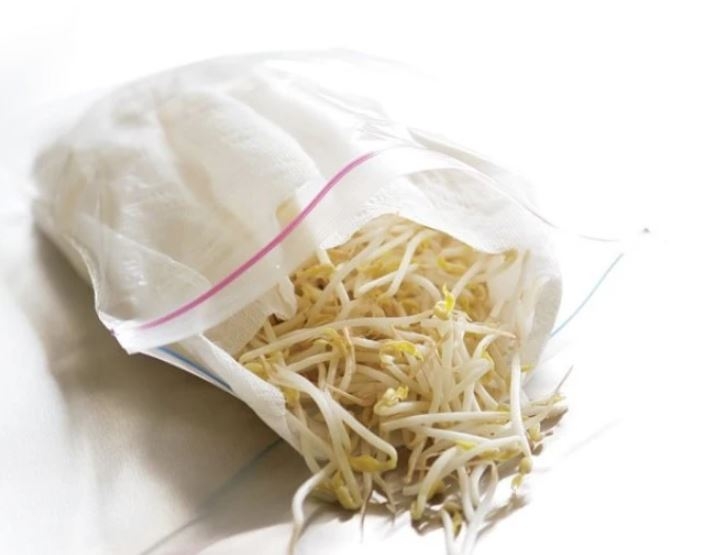 bảo quản giá đỗ trong tủ lạnh 2