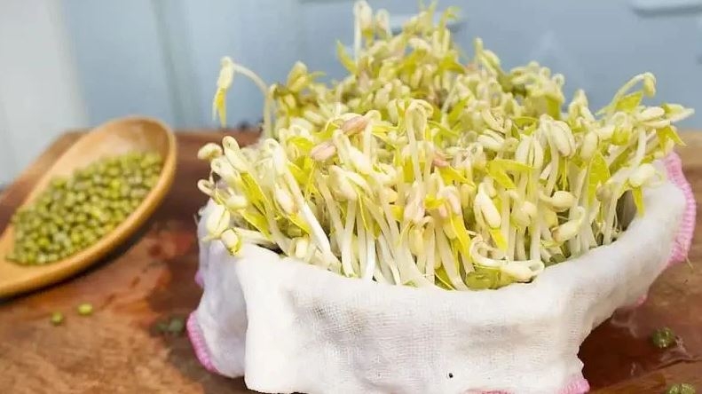 bảo quản giá đỗ trong tủ lạnh 4