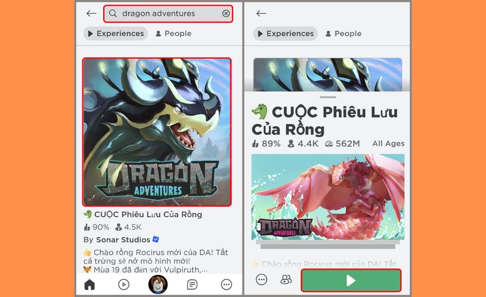 Nhập code Dragon Adventures