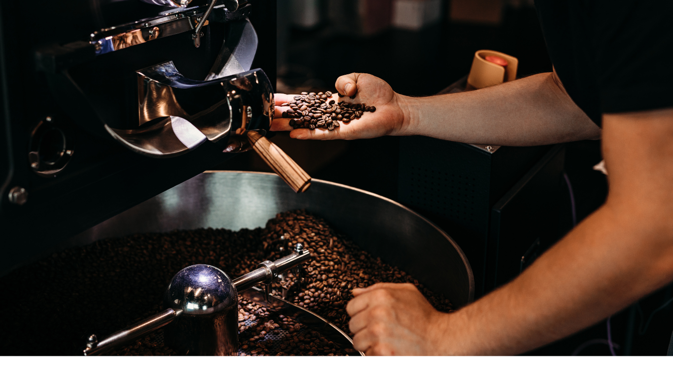 cà phê robusta (ảnh 5)