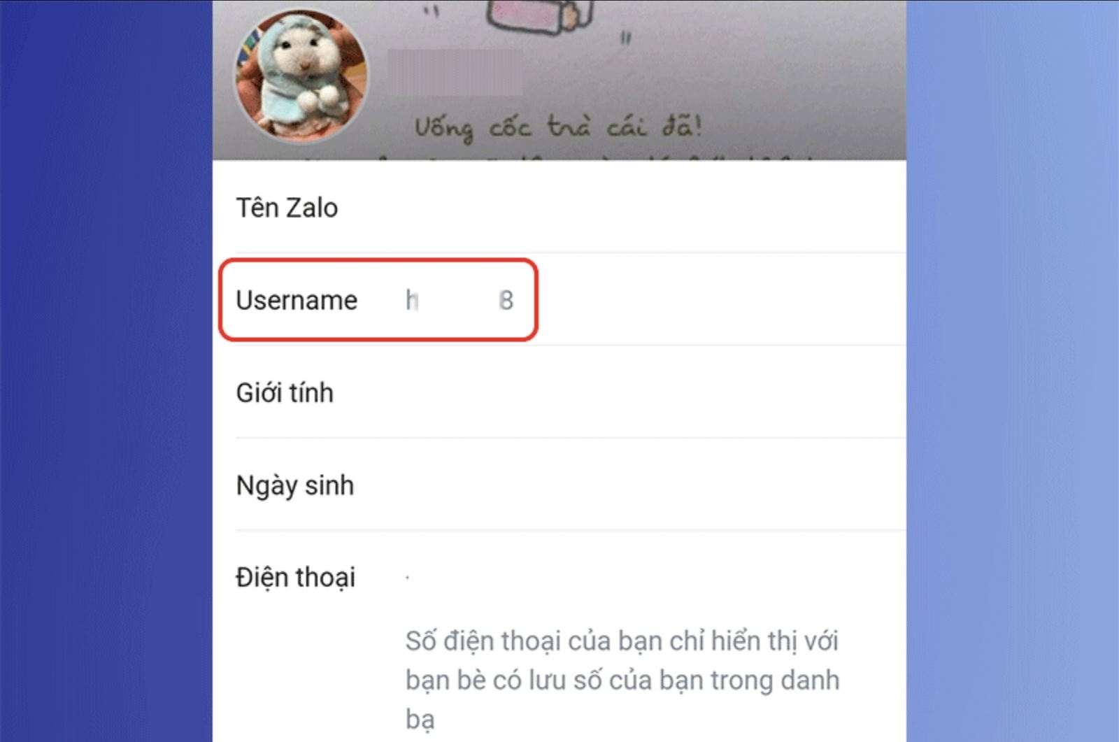 Id zalo (ảnh 3)