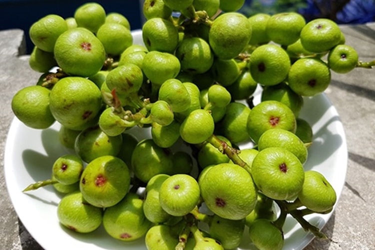 Bật mí cách làm quả sung phơi khô thơm ngon và tốt cho sức khỏe ngay tại nhà - Hình 1