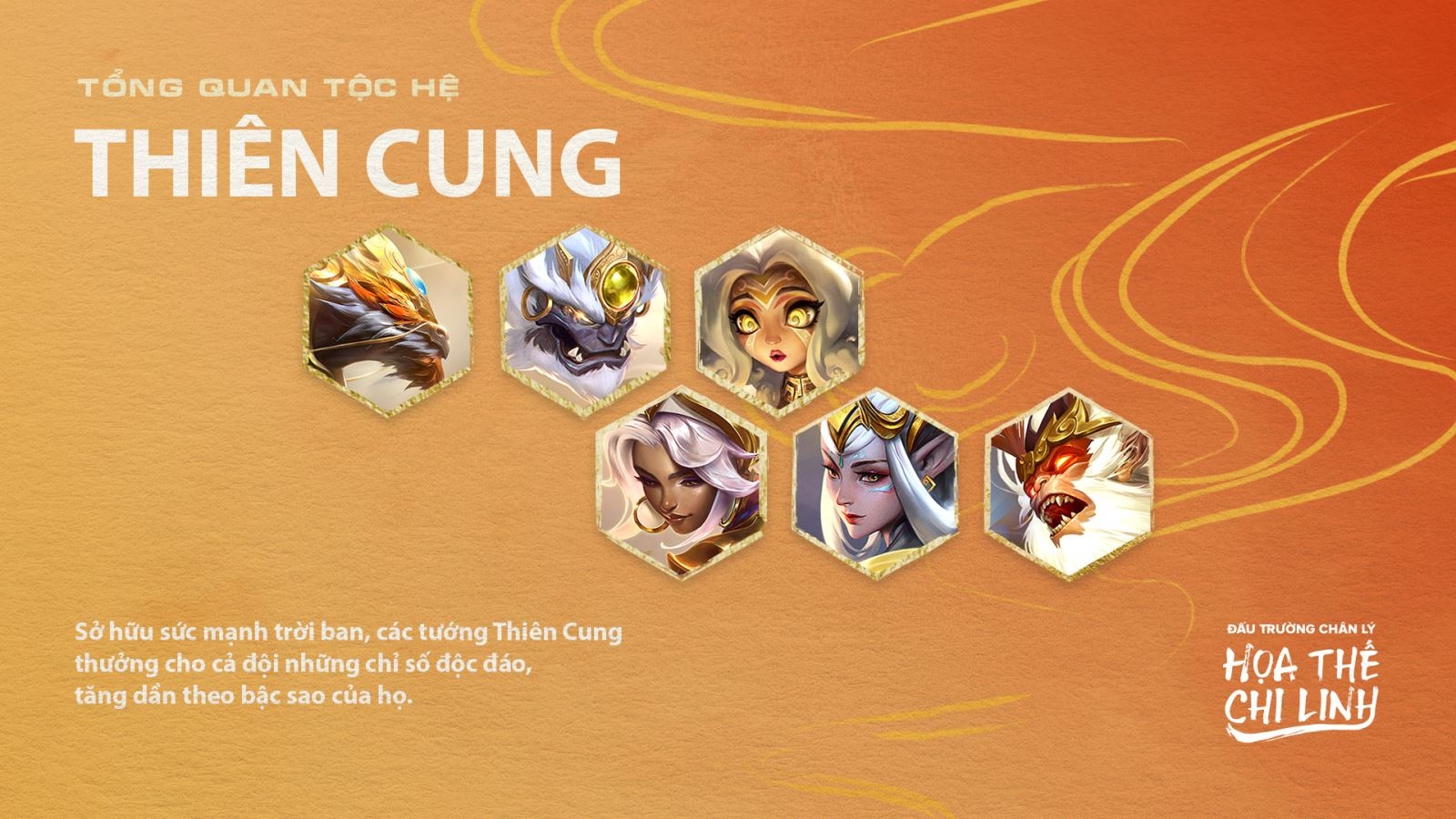 đội hình thiên cung (ảnh 1)