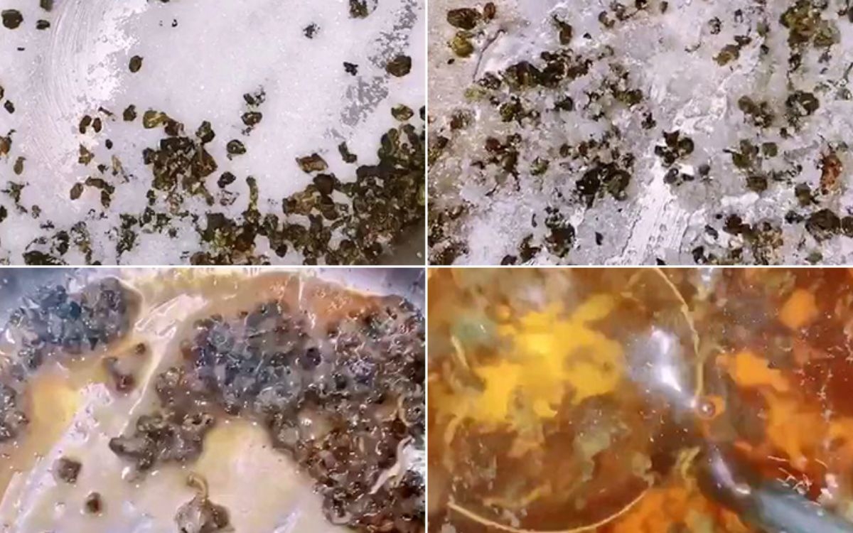 Cách nấu trà sữa bằng trà khô (ảnh 5)