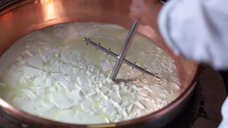 phô mai Parmesan (ảnh 3)