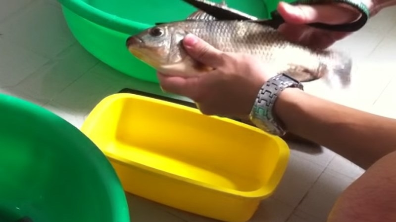 Cách rút xương cá rô 2