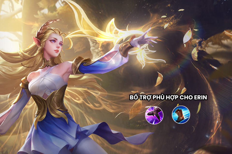 Bổ trợ phù hợp cho Erin