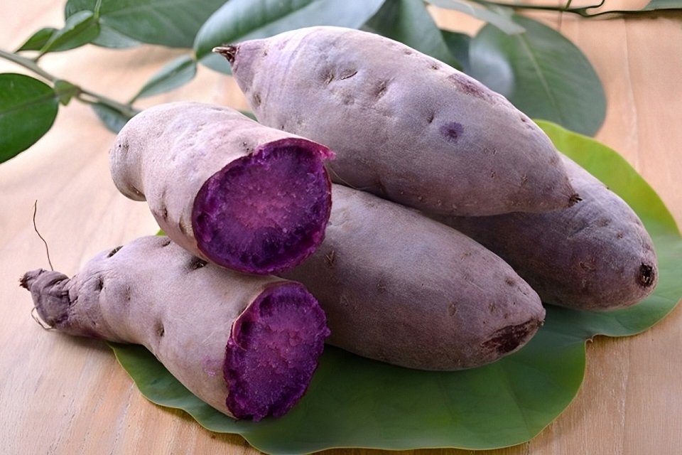 Khoai luộc để được bao lâu 3