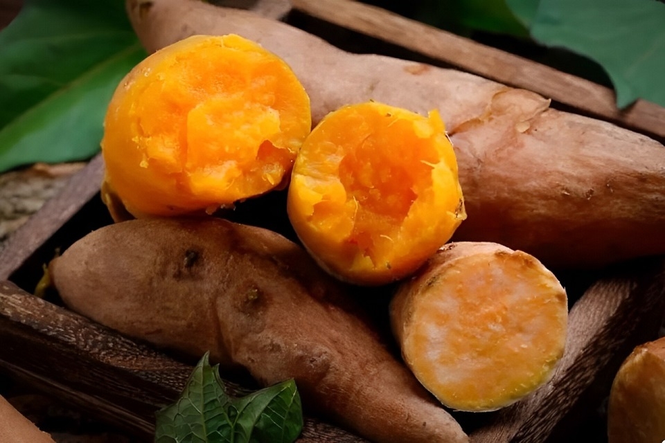 Khoai luộc để được bao lâu 5