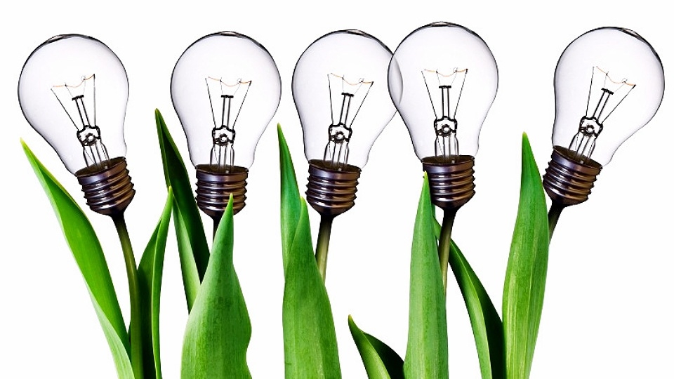Những thuật ngữ có liên quan đến wireframe