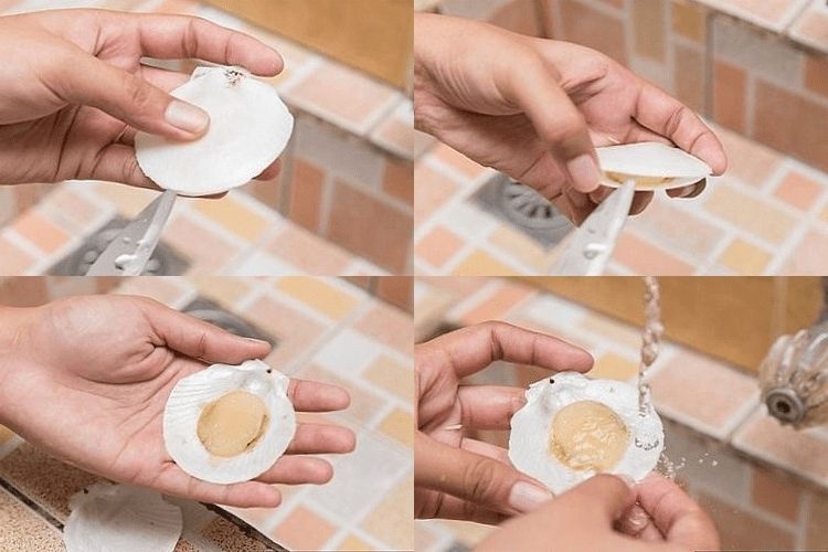 Sơ chế sò điệp