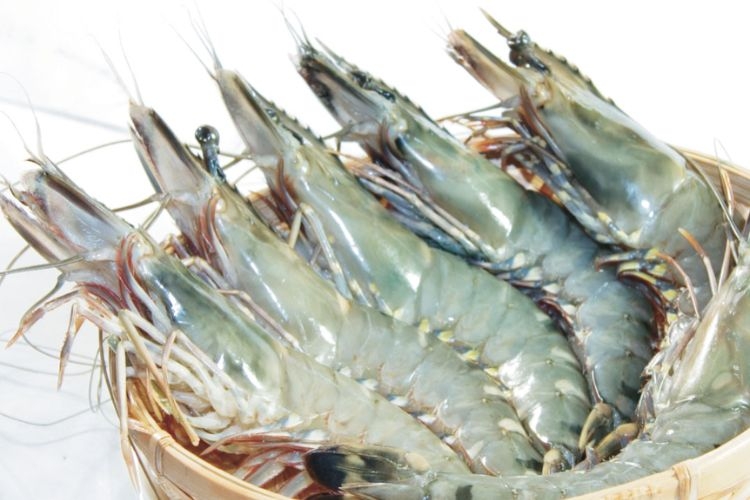 Tip chọn nguyên liệu