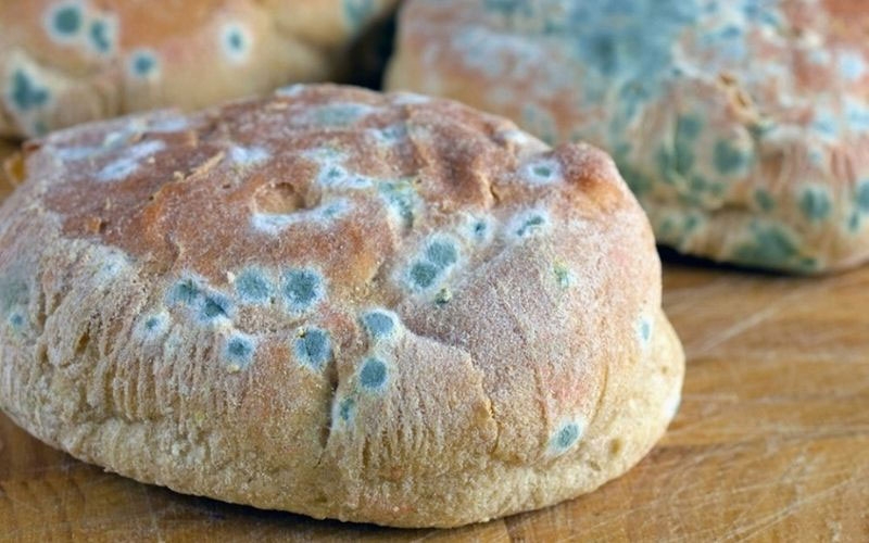 Thực phẩm bản hình 5