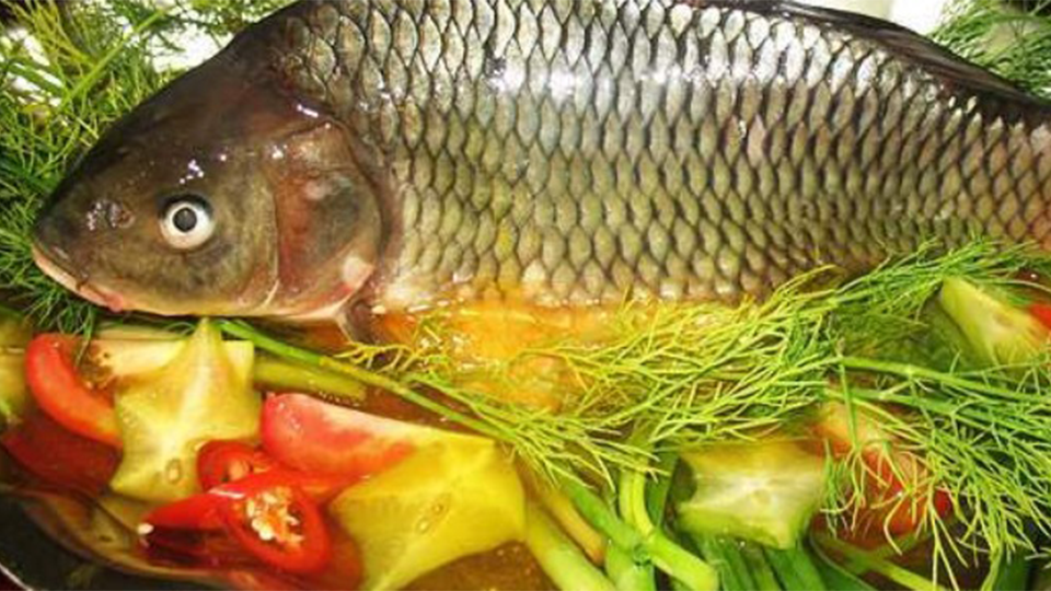 Giá trị dinh dưỡng của cá chép