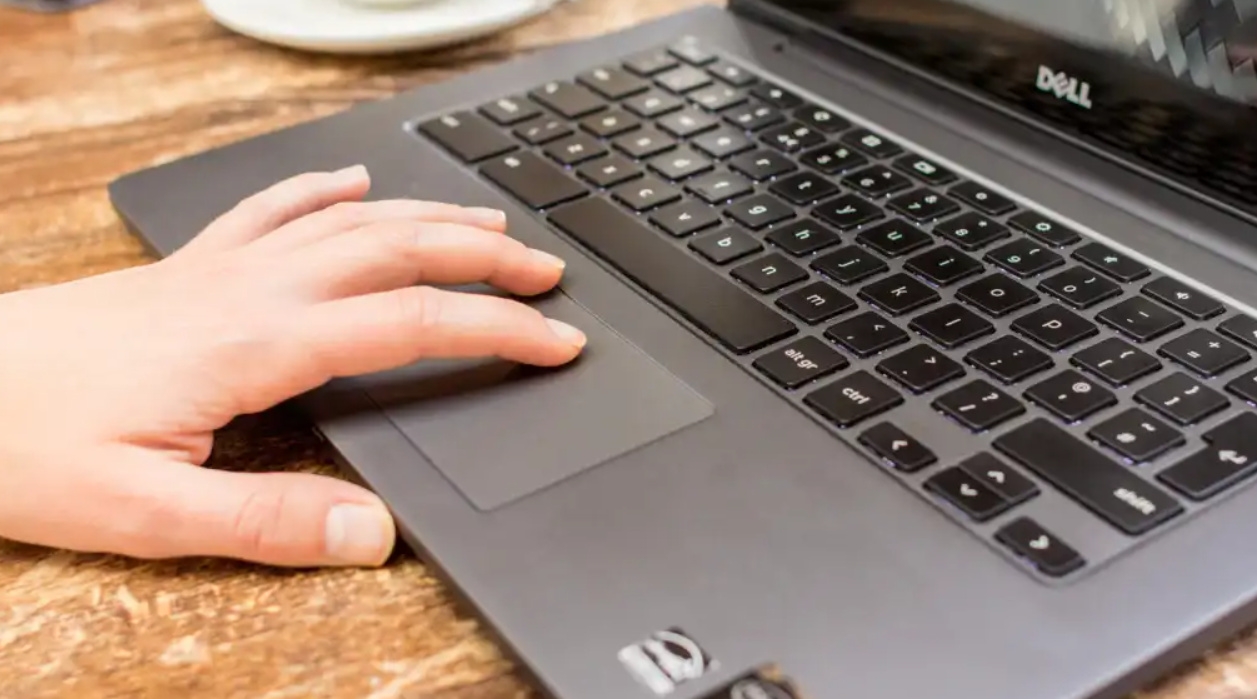 chuột laptop bị đơ không di chuyển được dell 1