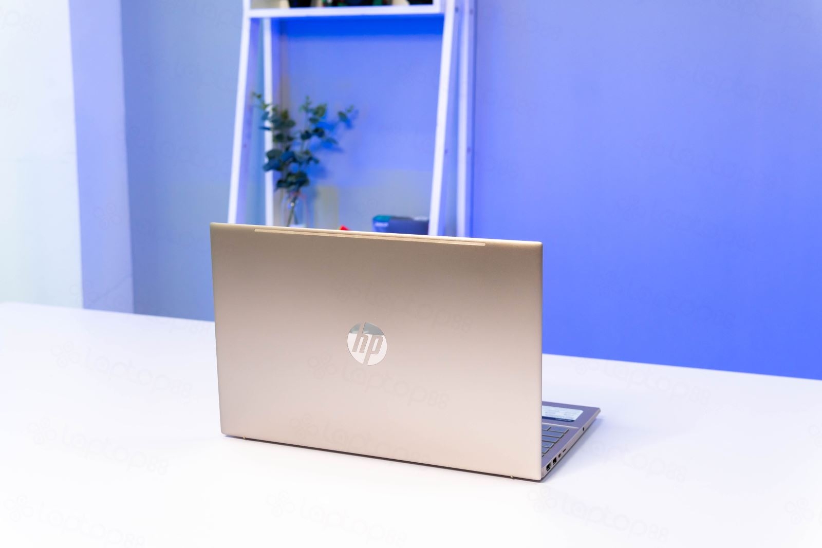 laptop cho sinh viên ngành tâm lý học 2024 - hình 2