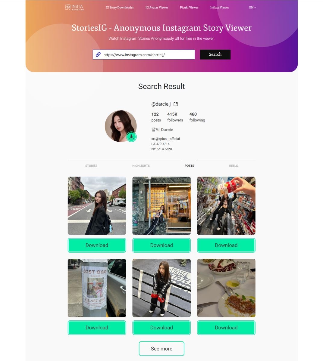 xem story instagram ẩn danh 8