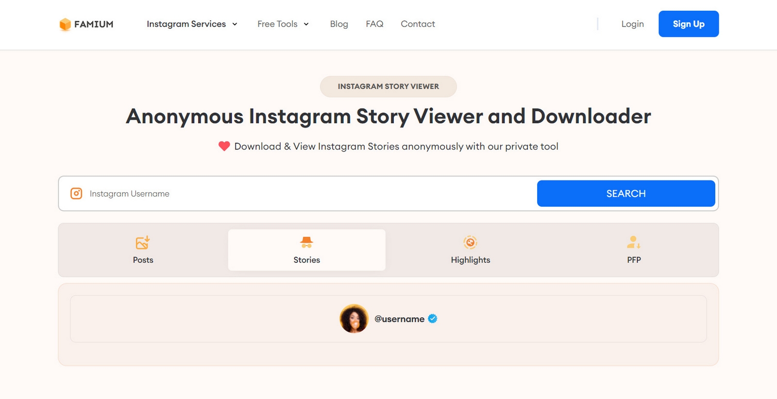 xem story instagram ẩn danh 9