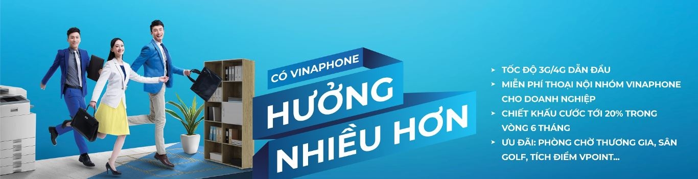 đầu số Vina - hình 6
