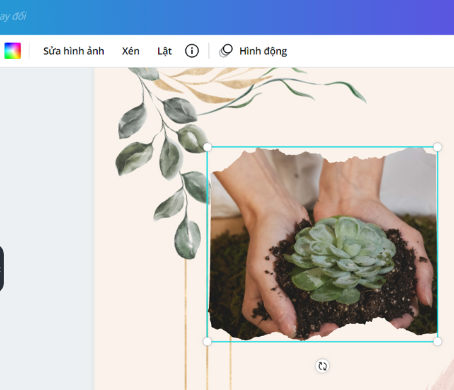 Cách cắt ảnh trên Canva (ảnh 8)