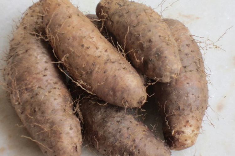 luộc củ từ bao lâu thì chín 1