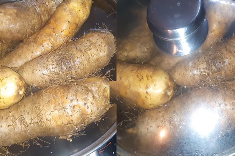 luộc củ từ bao lâu thì chín 4
