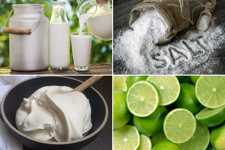 phô mai ricotta 4