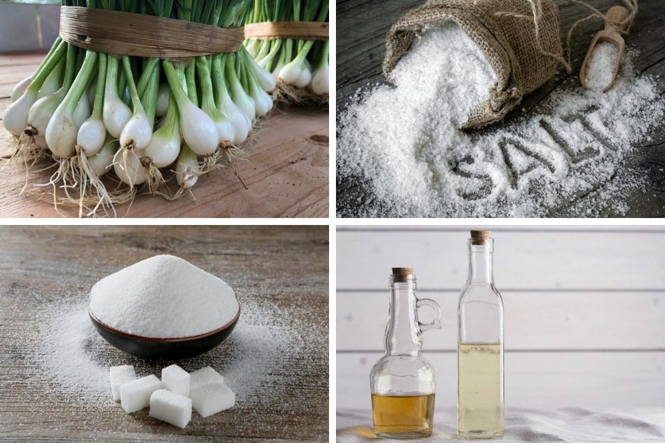 Cách làm kiệu ngâm mắm 1