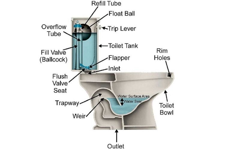 Nguyên lý hoạt động của bồn cầu