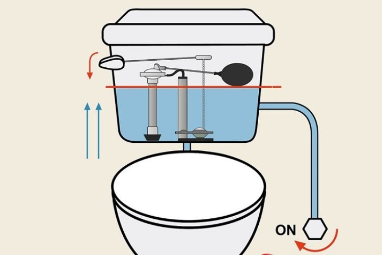 Bồn cầu hai khối