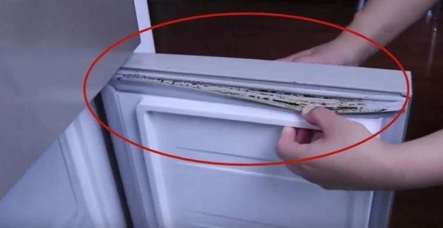 tẩy nấm mốc của gioăng tủ lạnh 2