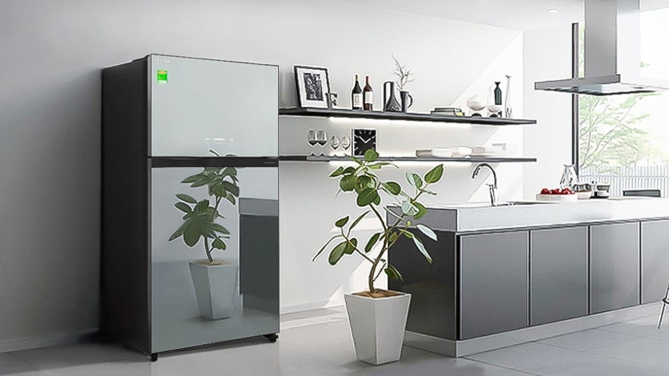 Tủ lạnh Toshiba GR-AG66VA-X