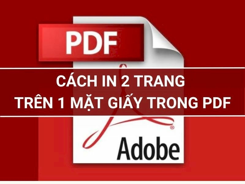 Phương pháp in hai trang trên một mặt giấy từ file PDF -