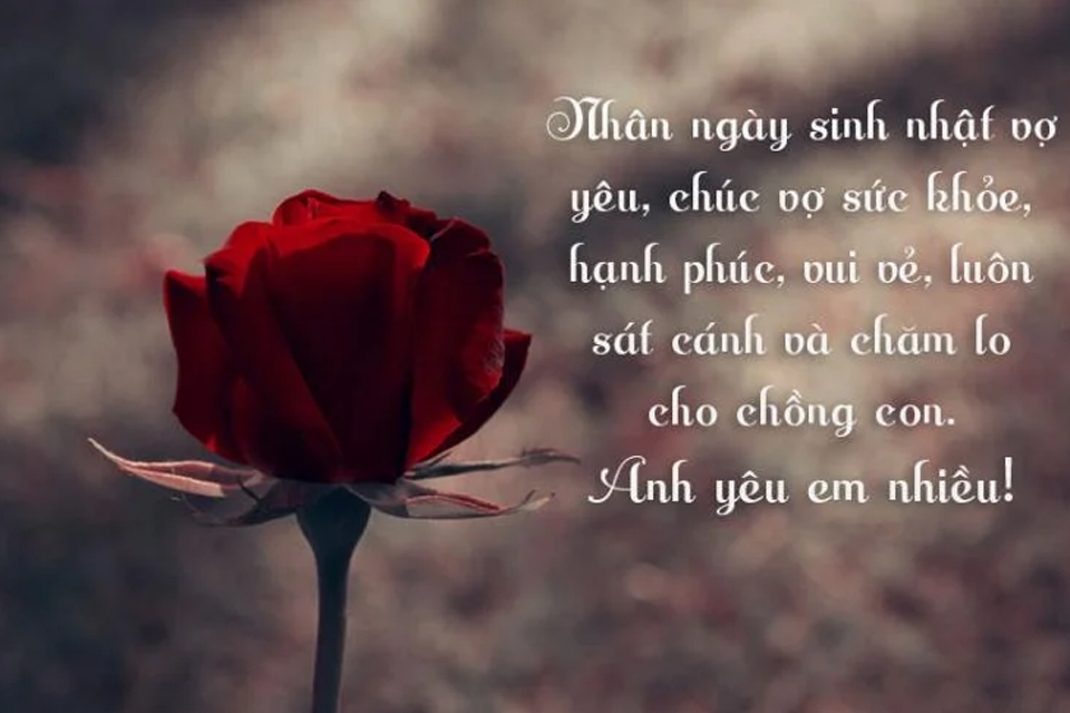 Gửi tặng vợ yêu lời chúc ý nghĩa và mẫu thiệp chúc mừng sinh nhật đẹp.