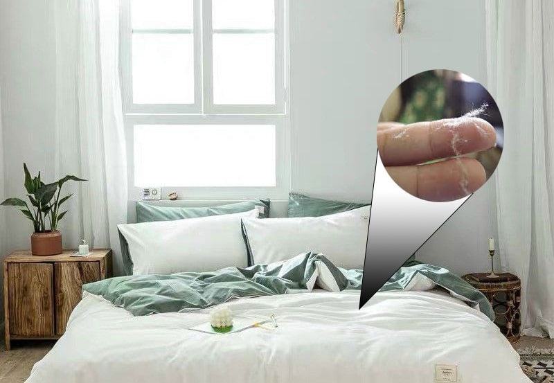 Cách tẩy vết bẩn trên nệm hình 6