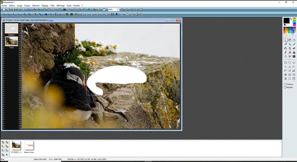 PhotoFiltre - Ảnh 02