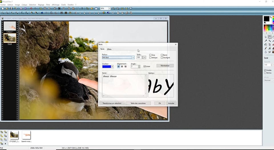PhotoFiltre - Ảnh 05