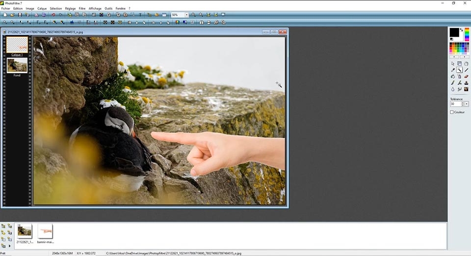 PhotoFiltre - Ảnh 07