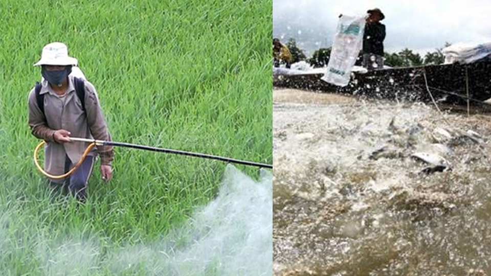 Các hoạt động sản xuất nông ngư nghiệp có thể gây ô nhiễm nguồn nước.