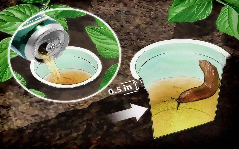 Bia hết hạn nên làm gì hình 2