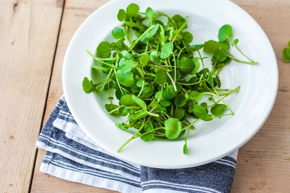 Rau xà lách xoong có giá trị dinh dưỡng cao tốt cho sức khỏe.