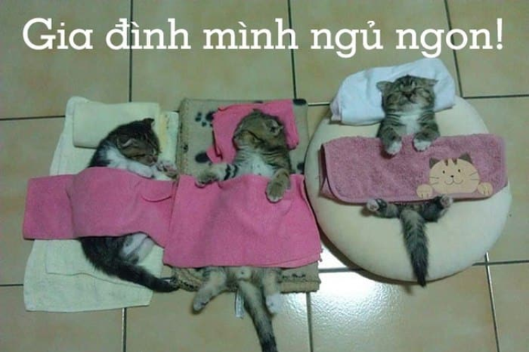 Kết nối mọi người với nhau