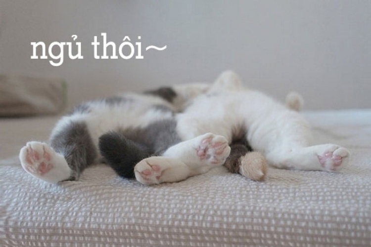 Thể hiện tính sáng tạo và màu sắc cá nhân