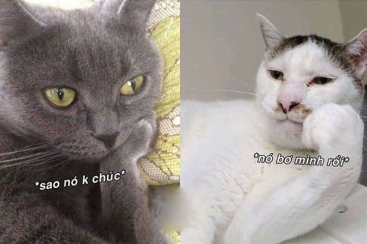 Meme châm biếm
